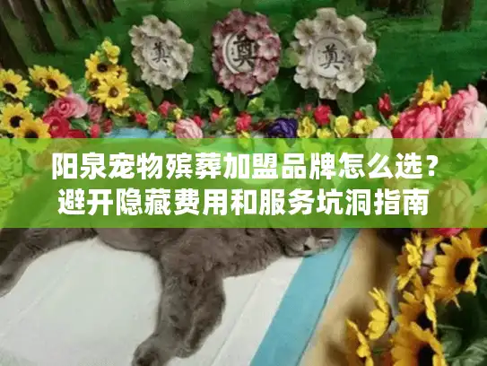 阳泉宠物殡葬加盟品牌怎么选？避开隐藏费用和服务坑洞指南