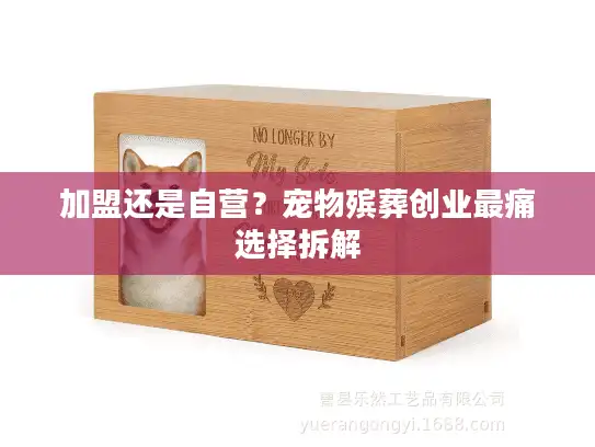 加盟还是自营？宠物殡葬创业最痛选择拆解