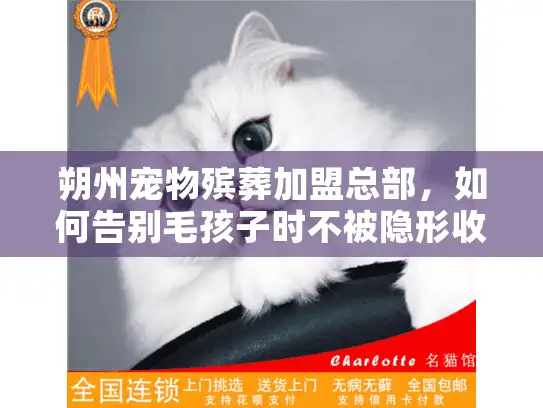 朔州宠物殡葬加盟总部，如何告别毛孩子时不被隐形收费坑惨？