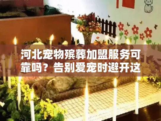河北宠物殡葬加盟服务可靠吗？告别爱宠时避开这些陷阱！