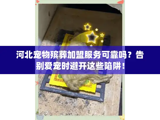 河北宠物殡葬加盟服务可靠吗？告别爱宠时避开这些陷阱！