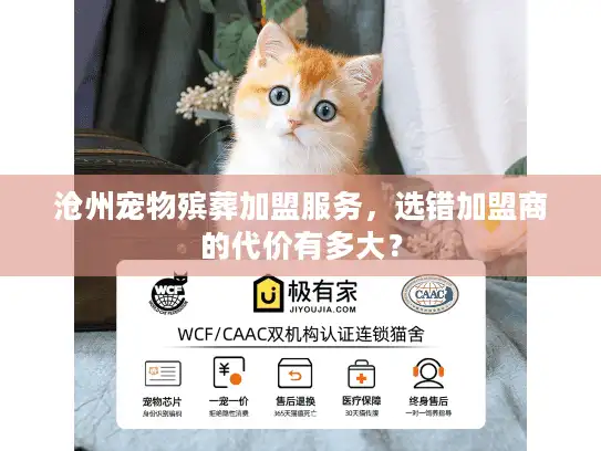 沧州宠物殡葬加盟服务，选错加盟商的代价有多大？