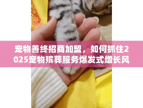 宠物善终招商加盟，如何抓住2025宠物殡葬服务爆发式增长风口？