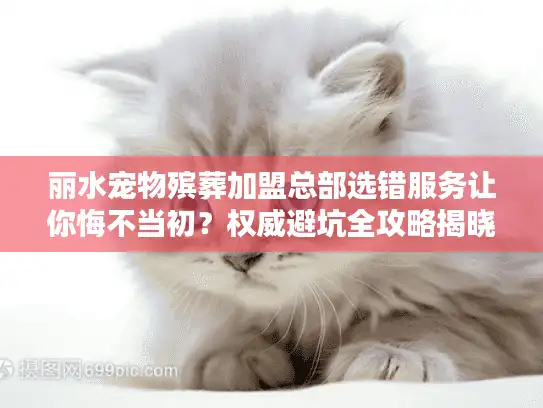丽水宠物殡葬加盟总部选错服务让你悔不当初？权威避坑全攻略揭晓