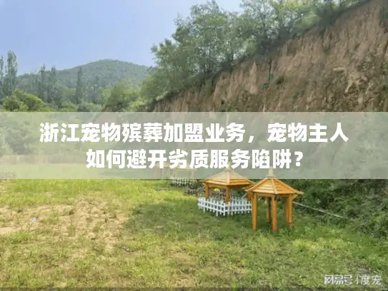 浙江宠物殡葬加盟业务，宠物主人如何避开劣质服务陷阱？