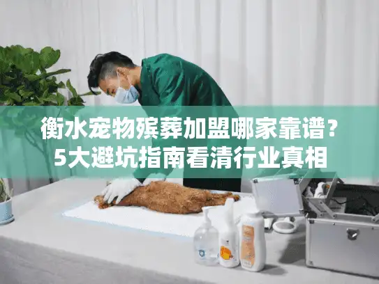 衡水宠物殡葬加盟哪家靠谱？5大避坑指南看清行业真相