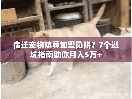 宿迁宠物殡葬加盟陷阱？7个避坑指南助你月入5万+