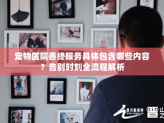 宠物医院善终服务具体包含哪些内容？告别时刻全流程解析