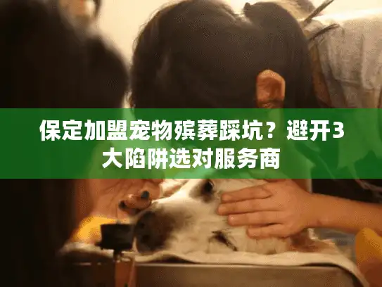 保定加盟宠物殡葬踩坑？避开3大陷阱选对服务商