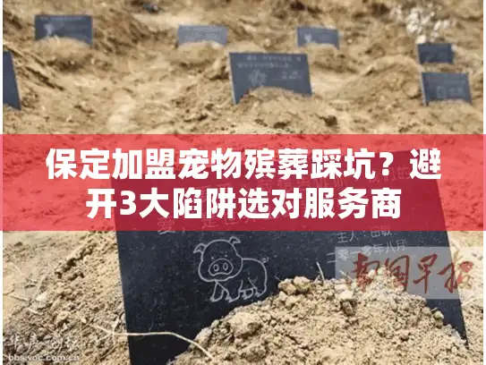 保定加盟宠物殡葬踩坑？避开3大陷阱选对服务商