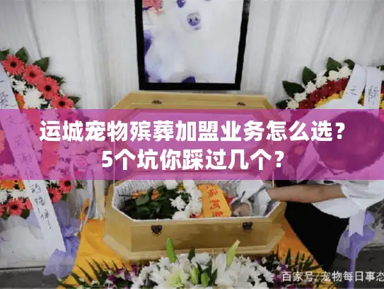 运城宠物殡葬加盟业务怎么选？5个坑你踩过几个？