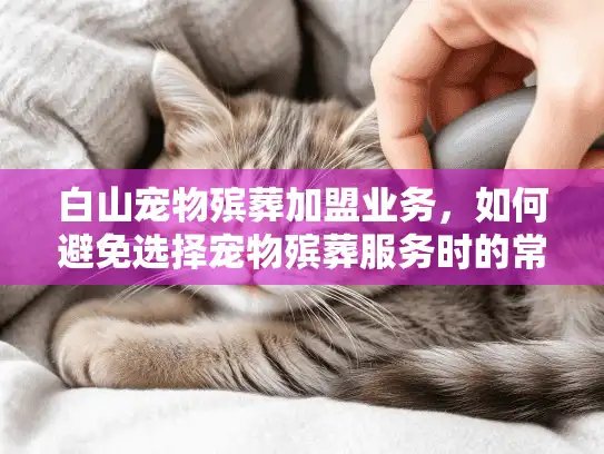 白山宠物殡葬加盟业务，如何避免选择宠物殡葬服务时的常见陷阱？