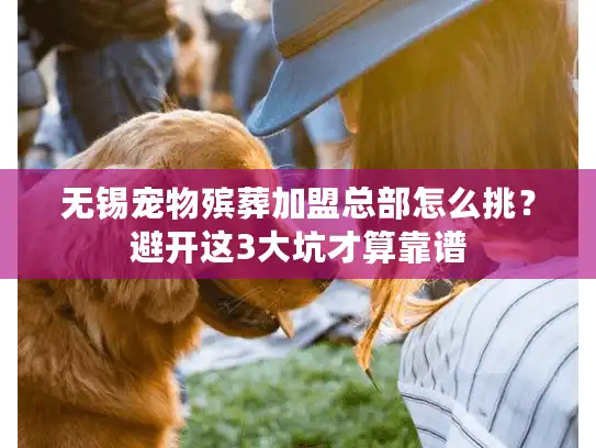 无锡宠物殡葬加盟总部怎么挑？避开这3大坑才算靠谱