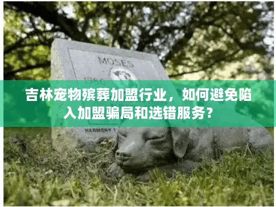 吉林宠物殡葬加盟行业，如何避免陷入加盟骗局和选错服务？
