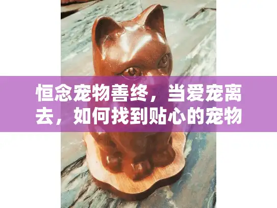 恒念宠物善终，当爱宠离去，如何找到贴心的宠物殡葬服务？