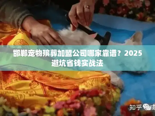 邯郸宠物殡葬加盟公司哪家靠谱？2025避坑省钱实战法