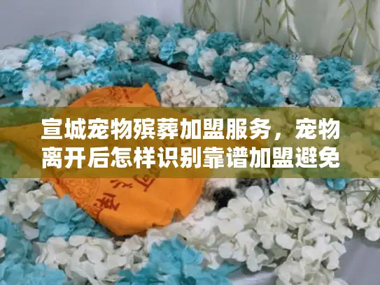 宣城宠物殡葬加盟服务，宠物离开后怎样识别靠谱加盟避免血泪教训？