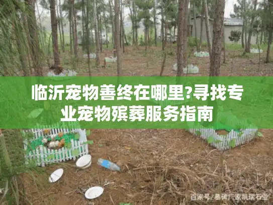 临沂宠物善终在哪里?寻找专业宠物殡葬服务指南