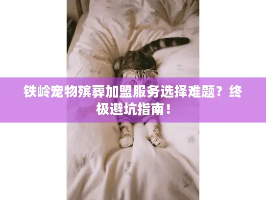 铁岭宠物殡葬加盟服务选择难题？终极避坑指南！