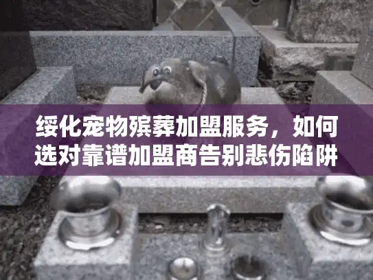 绥化宠物殡葬加盟服务，如何选对靠谱加盟商告别悲伤陷阱？字符数，19）