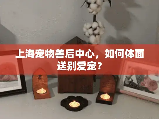 上海宠物善后中心，如何体面送别爱宠？