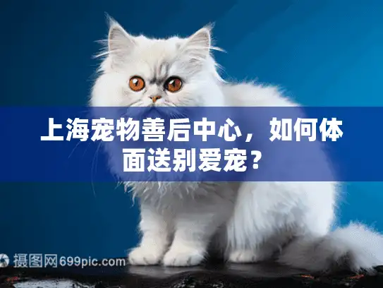 上海宠物善后中心，如何体面送别爱宠？