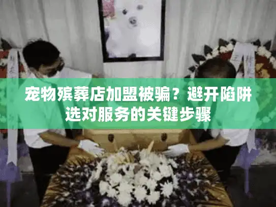 宠物殡葬店加盟被骗？避开陷阱选对服务的关键步骤