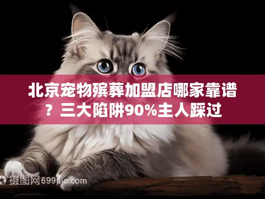 北京宠物殡葬加盟店哪家靠谱？三大陷阱90%主人踩过