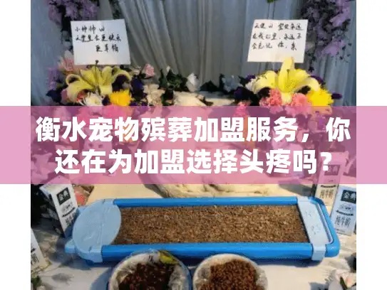 衡水宠物殡葬加盟服务，你还在为加盟选择头疼吗？
