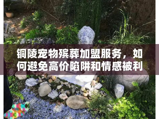 铜陵宠物殡葬加盟服务，如何避免高价陷阱和情感被利用？