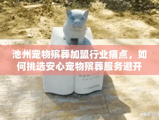池州宠物殡葬加盟行业痛点，如何挑选安心宠物殡葬服务避开遗憾
