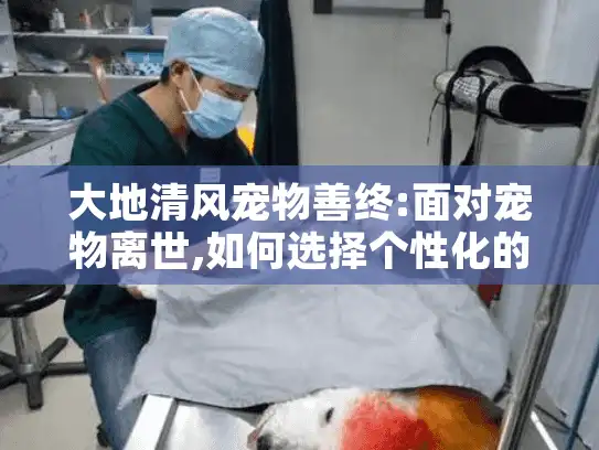 大地清风宠物善终:面对宠物离世,如何选择个性化的宠物告别仪式?