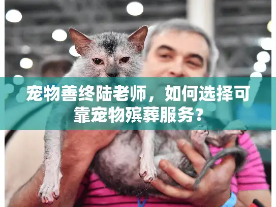 宠物善终陆老师，如何选择可靠宠物殡葬服务？