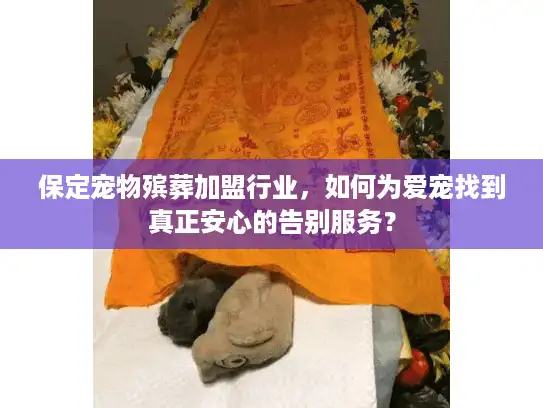 保定宠物殡葬加盟行业，如何为爱宠找到真正安心的告别服务？