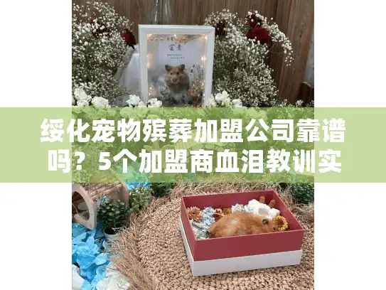 绥化宠物殡葬加盟公司靠谱吗？5个加盟商血泪教训实录