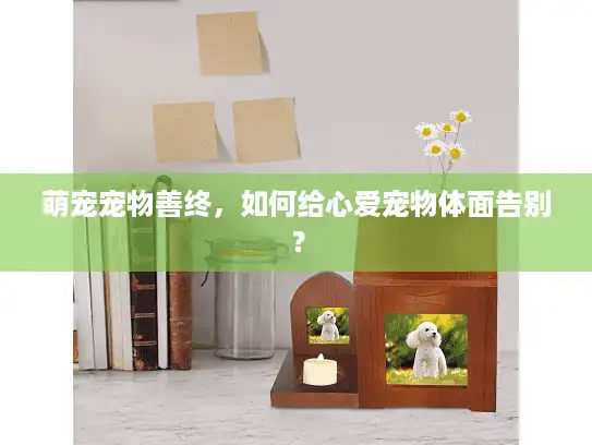 萌宠宠物善终，如何给心爱宠物体面告别？