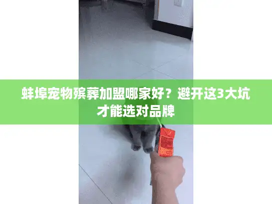蚌埠宠物殡葬加盟哪家好？避开这3大坑才能选对品牌