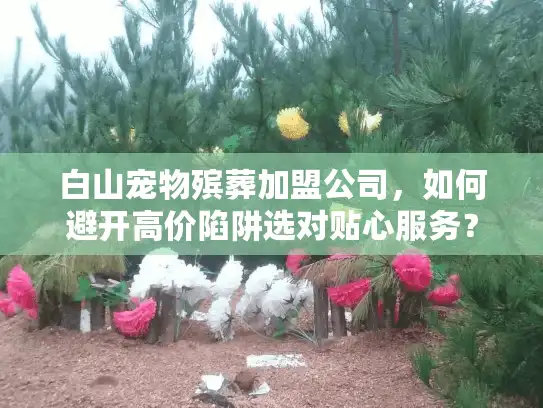 白山宠物殡葬加盟公司，如何避开高价陷阱选对贴心服务？
