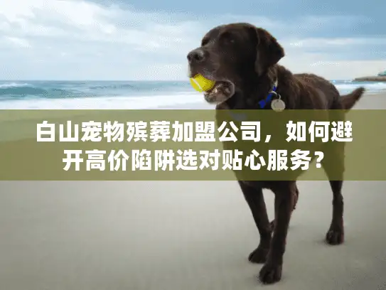 白山宠物殡葬加盟公司，如何避开高价陷阱选对贴心服务？