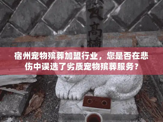 宿州宠物殡葬加盟行业，您是否在悲伤中误选了劣质宠物殡葬服务？
