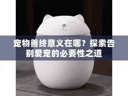 宠物善终意义在哪？探索告别爱宠的必要性之道