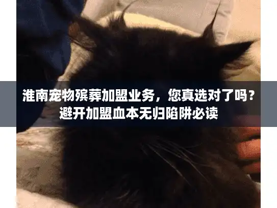 淮南宠物殡葬加盟业务，您真选对了吗？避开加盟血本无归陷阱必读