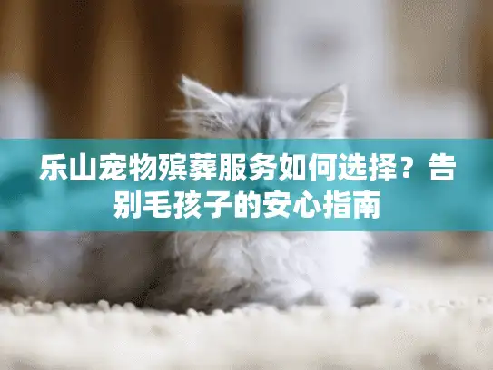 乐山宠物殡葬服务如何选择？告别毛孩子的安心指南