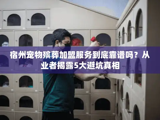 宿州宠物殡葬加盟服务到底靠谱吗？从业者揭露5大避坑真相