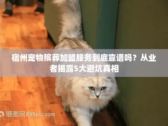 宿州宠物殡葬加盟服务到底靠谱吗？从业者揭露5大避坑真相