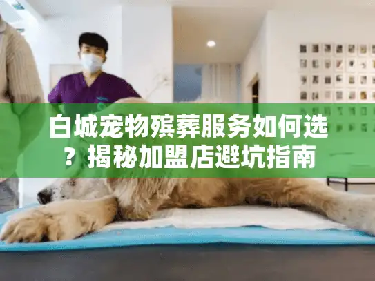 白城宠物殡葬服务如何选？揭秘加盟店避坑指南