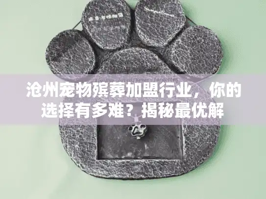 沧州宠物殡葬加盟行业，你的选择有多难？揭秘最优解