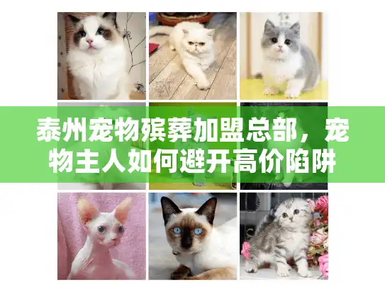 泰州宠物殡葬加盟总部，宠物主人如何避开高价陷阱选择服务？