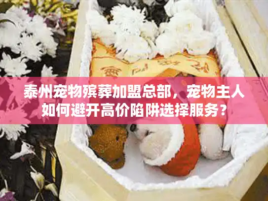 泰州宠物殡葬加盟总部，宠物主人如何避开高价陷阱选择服务？