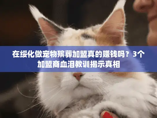 在绥化做宠物殡葬加盟真的赚钱吗？3个加盟商血泪教训揭示真相